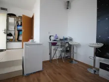Miniaturka