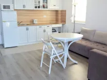 Miniaturka