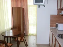 Miniaturka