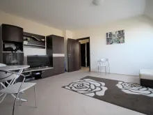 Miniaturka