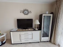 Miniaturka