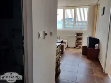Miniaturka