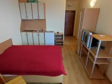 Miniaturka