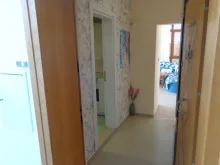 Miniaturka