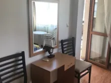Miniaturka