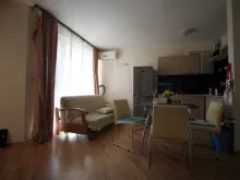 Miniaturka