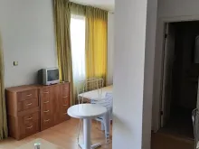 Miniaturka
