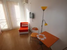 Miniaturka