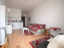 Miniaturka