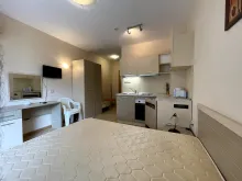 Miniaturka