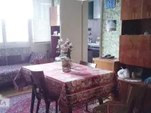 Miniaturka