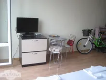 Miniaturka