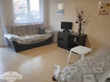 Miniaturka