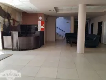 Miniaturka