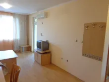 Miniaturka