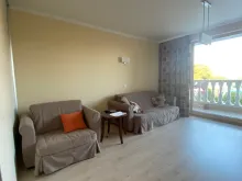 Miniaturka