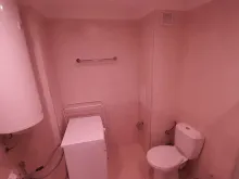 Miniaturka