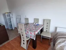 Miniaturka