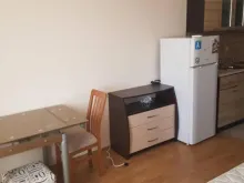 Miniaturka