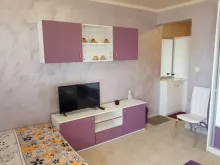 Miniaturka