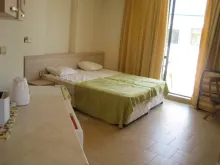 Miniaturka