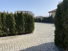 Miniaturka
