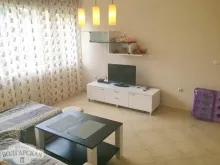 Miniaturka