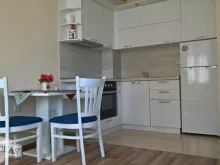 Miniaturka