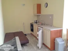 Miniaturka