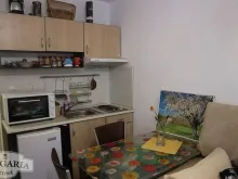 Miniaturka
