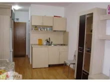 Miniaturka