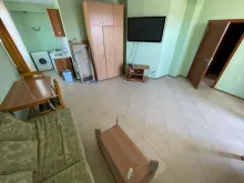Miniaturka