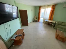 Miniaturka