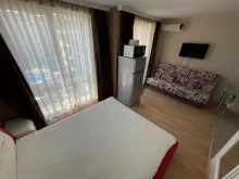 Miniaturka