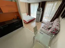 Miniaturka