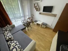 Miniaturka