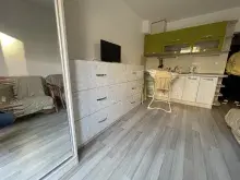 Miniaturka