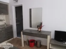 Miniaturka