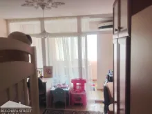 Miniaturka