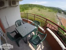 Miniaturka