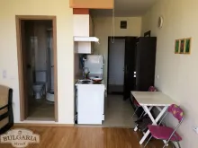 Miniaturka