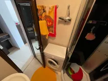 Miniaturka