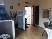 Miniaturka