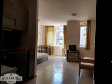 Miniaturka