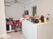 Miniaturka
