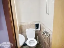 Miniaturka