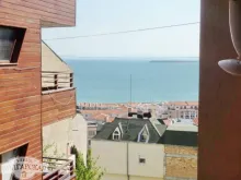 Miniaturka