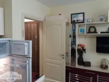 Miniaturka