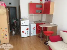 Miniaturka