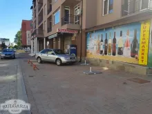 Miniaturka